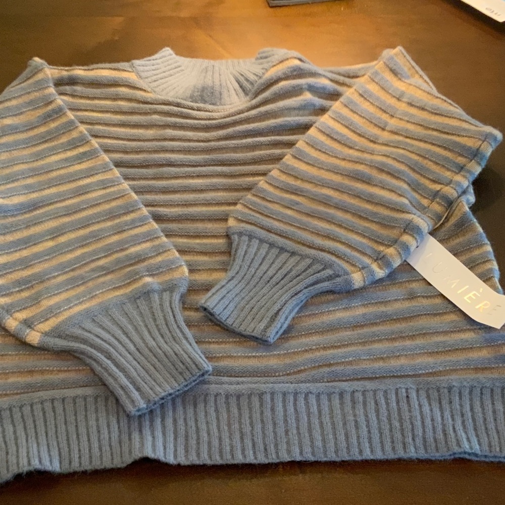 Lumiere Blue and Tan Striped Turtleneck Sweater